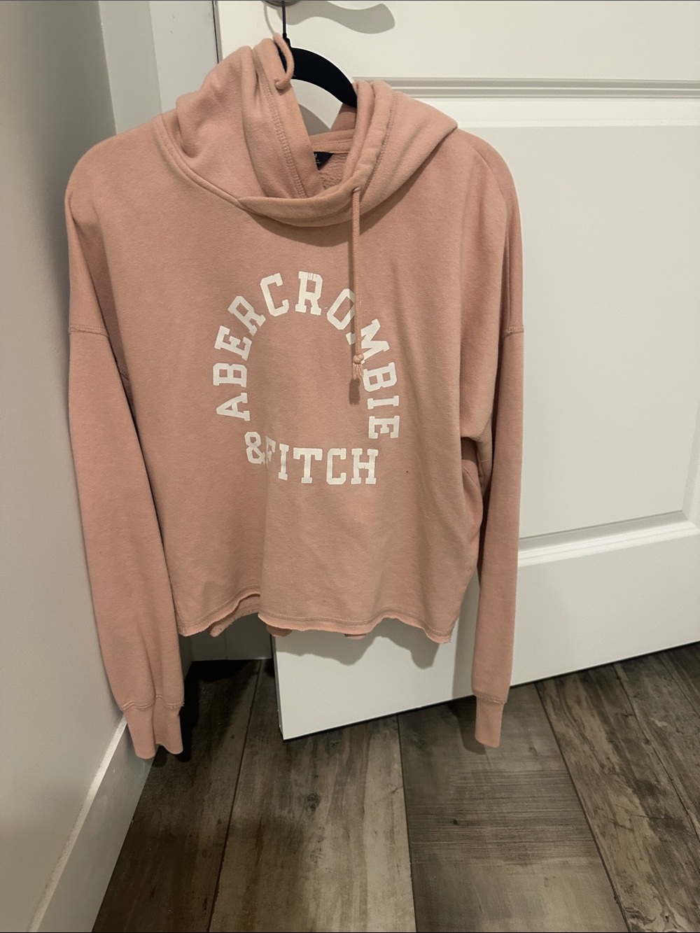 Abercrombie & Fitch Blush Pink Hooded Cropped Sweatshirt